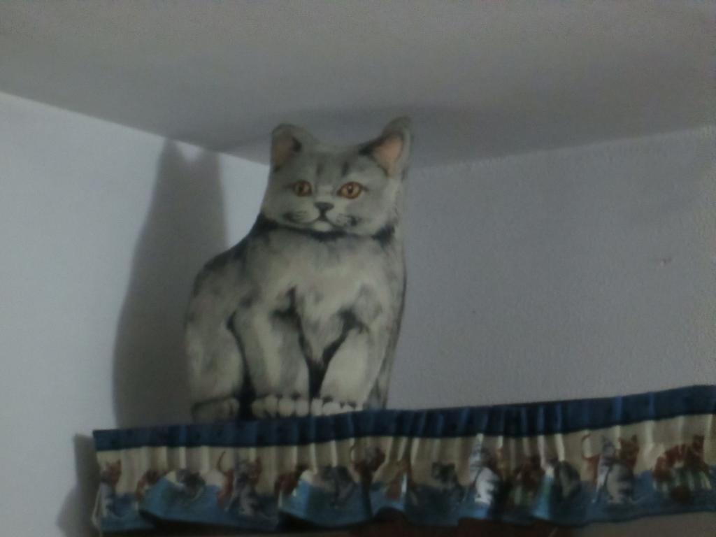 Cat'S House Appartement Ostia Kamer foto